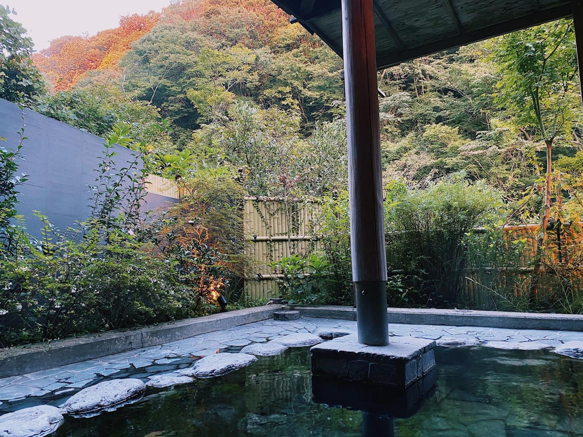 Onsen Guest House Tsutaya Hakone Ngoại thất bức ảnh