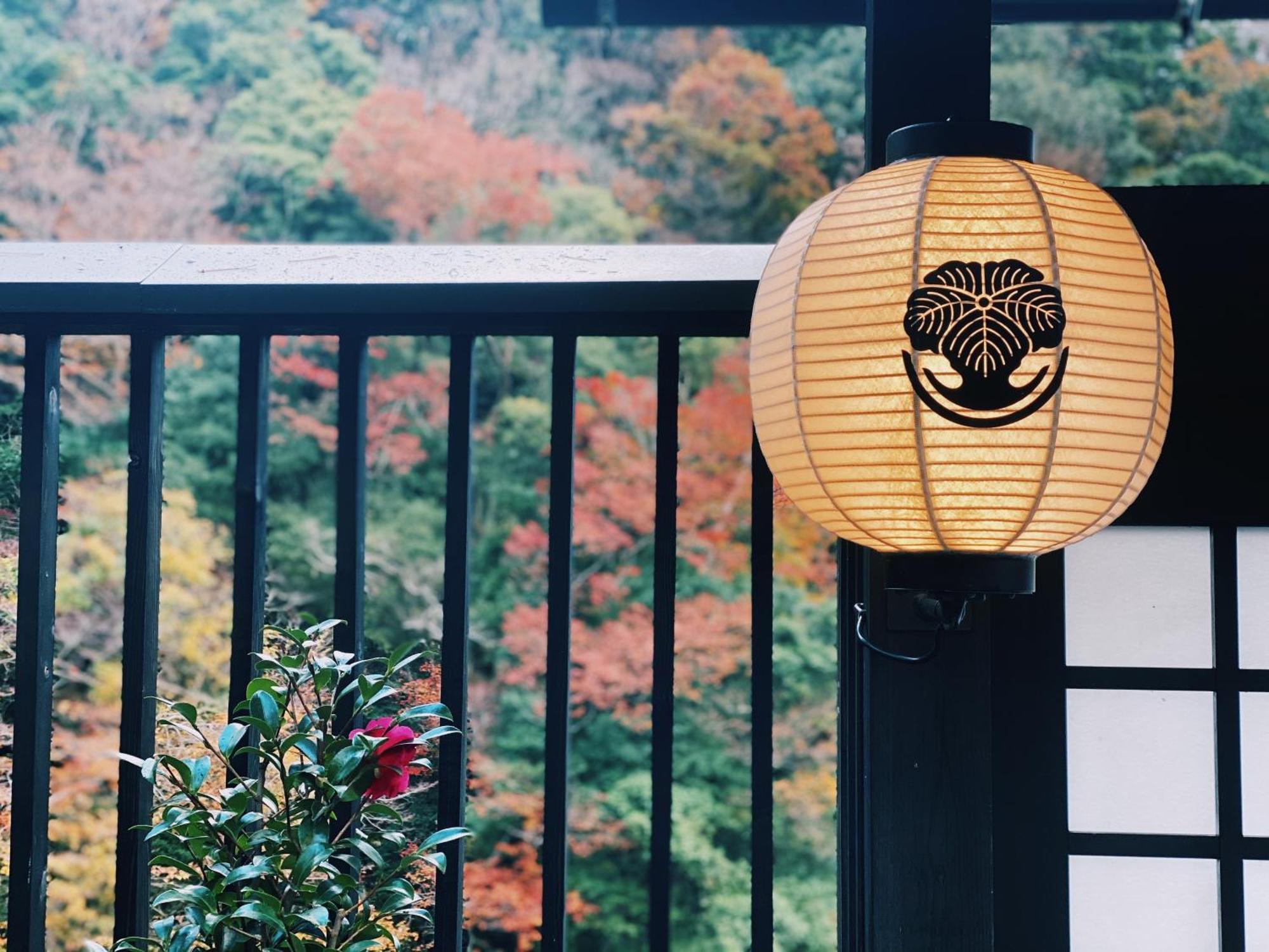 Onsen Guest House Tsutaya Hakone Ngoại thất bức ảnh